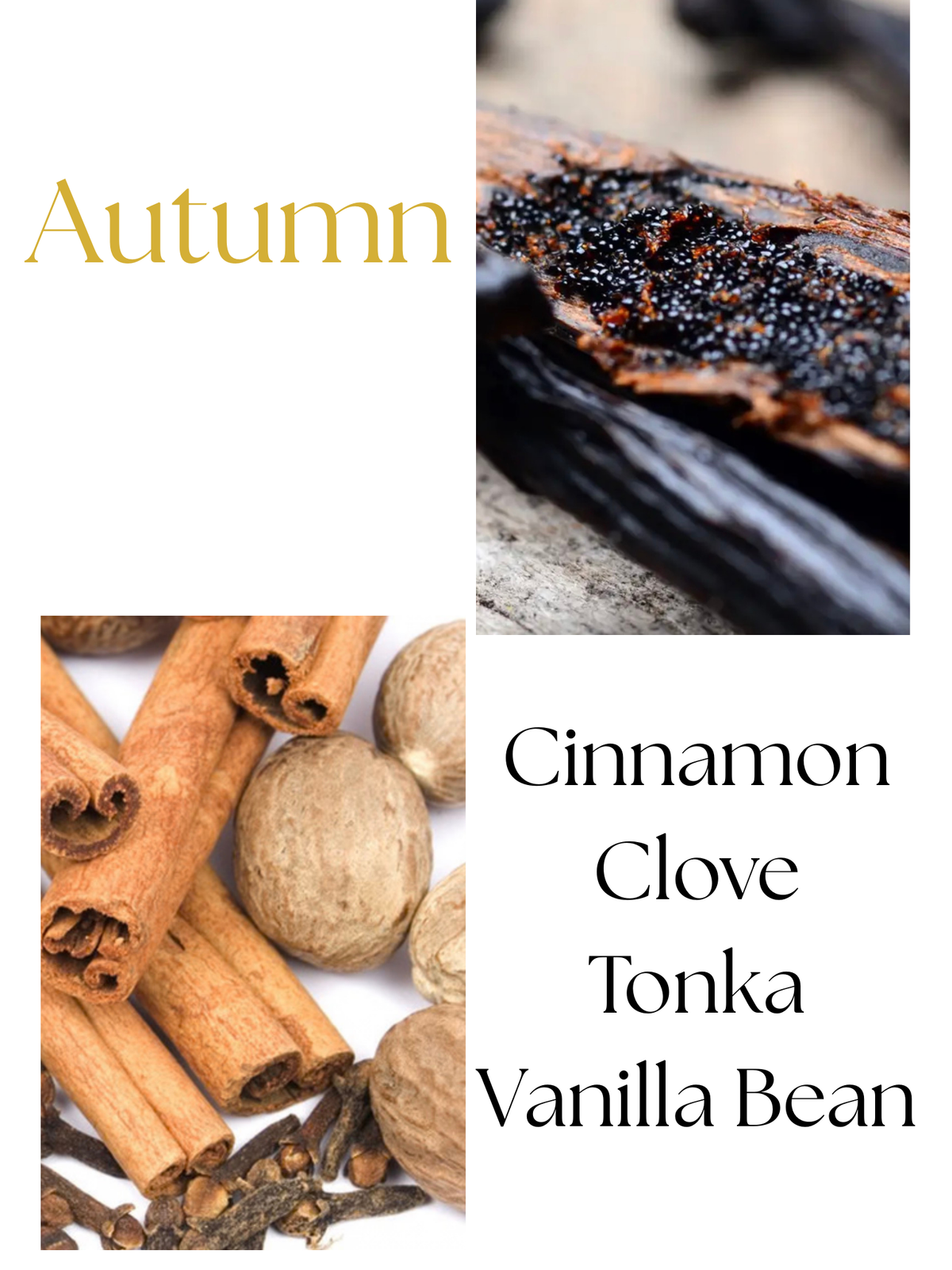 Autumn scent notes: cinnamon, clove, tonka and vanilla bean