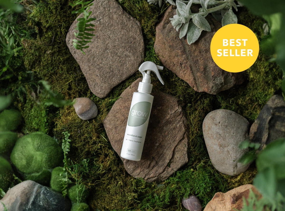 Woodland Sage spray on mossy stones among greenery