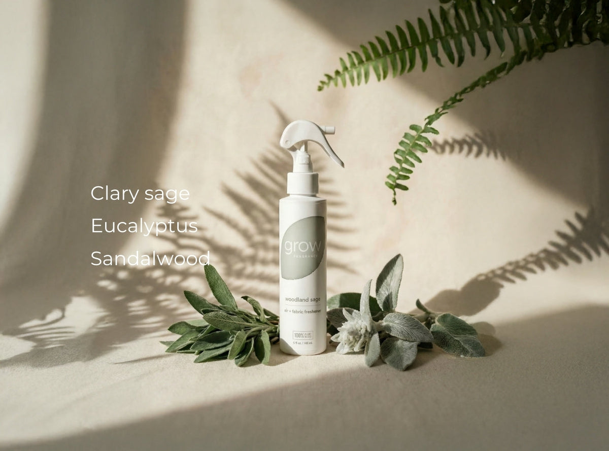 Woodland Sage spray beside sage and ferns, with its scent notes